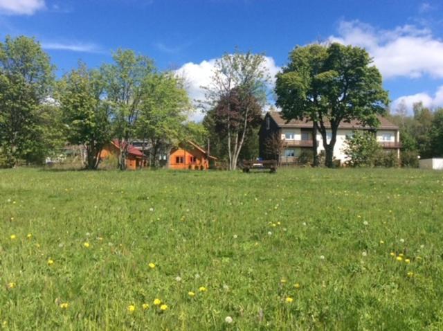 Ferienwohnung Harzblick 4 Braunlage Bagian luar foto