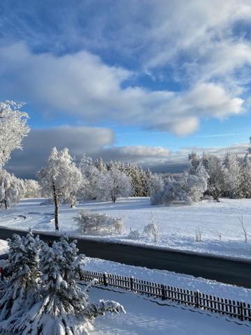 Ferienwohnung Harzblick 4 Braunlage Bagian luar foto